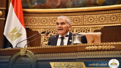 عصام فريد